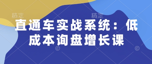 直通车实战系统课：解锁低成本询盘增长，助力个人职场飞跃，企业订单激增.jpg